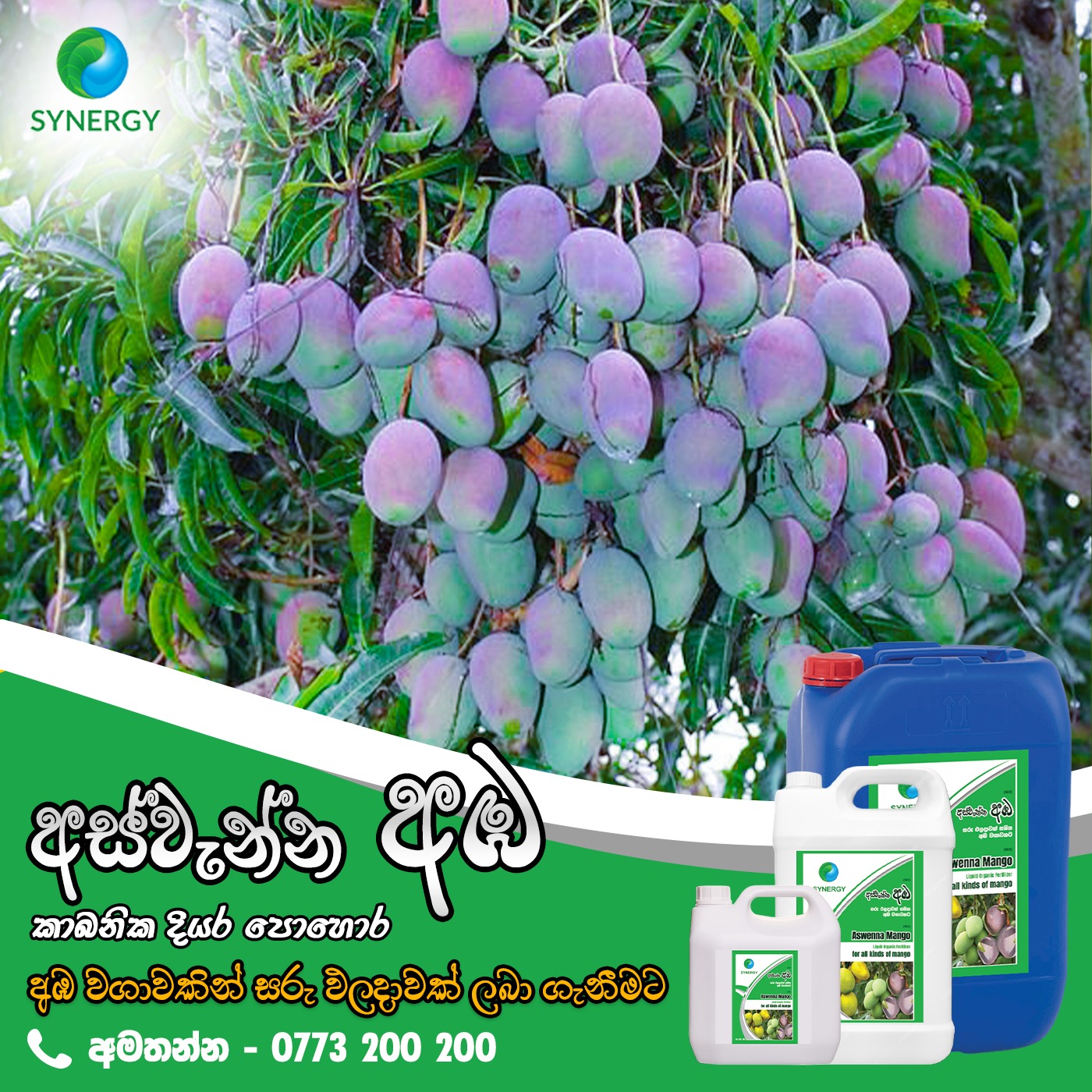 WhatsApp Image 2023-12-09 at 12.06.34